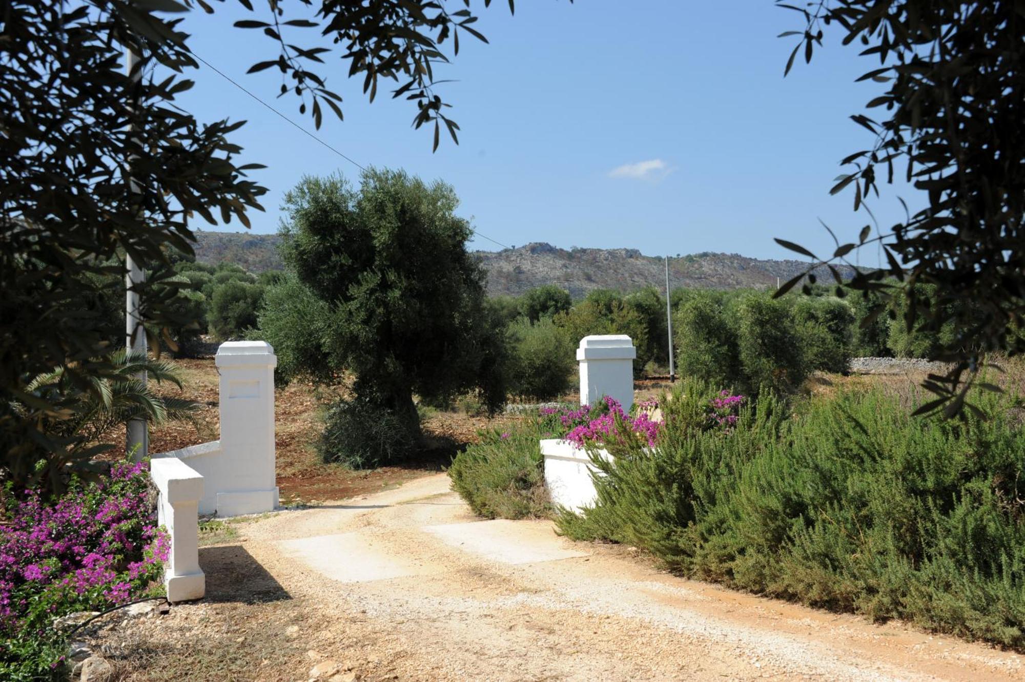Masseria Lama Di Galizia Ostuni Zewnętrze zdjęcie