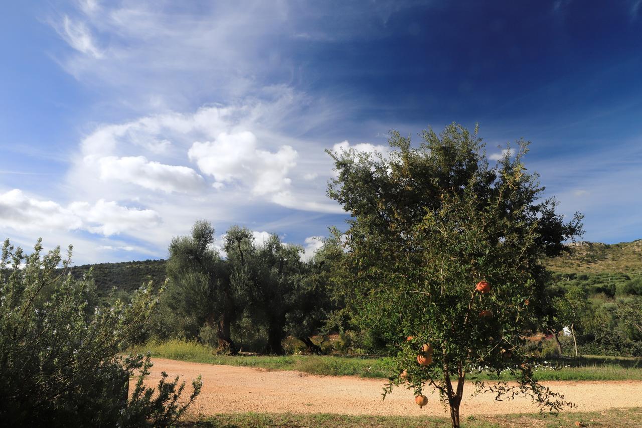 Masseria Lama Di Galizia Ostuni Zewnętrze zdjęcie