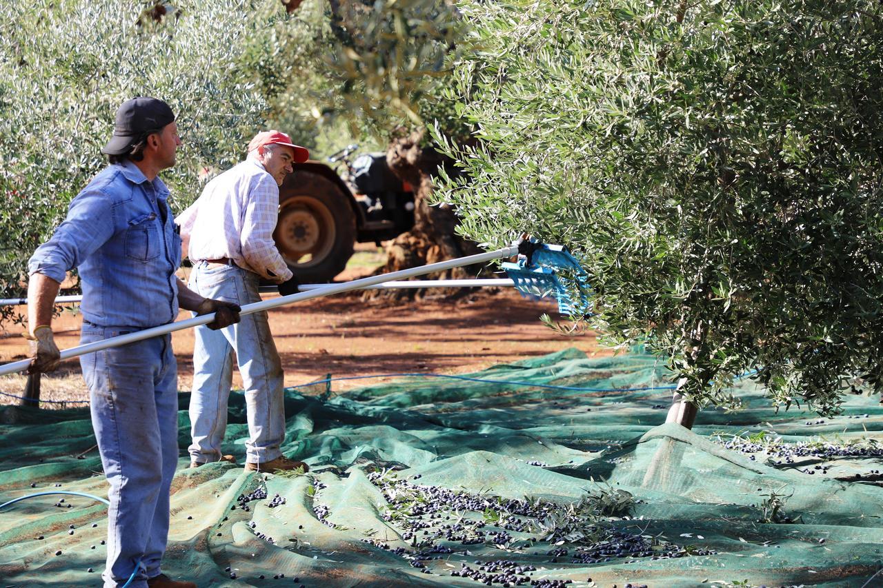 Masseria Lama Di Galizia Ostuni Zewnętrze zdjęcie